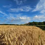 Deluxe Oase Der Ruhe - Wohnwagen Im Kornfeld Campeggio