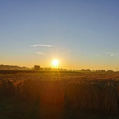 אתר קמפינג Deluxe Oase Der Ruhe - Wohnwagen Im Kornfeld