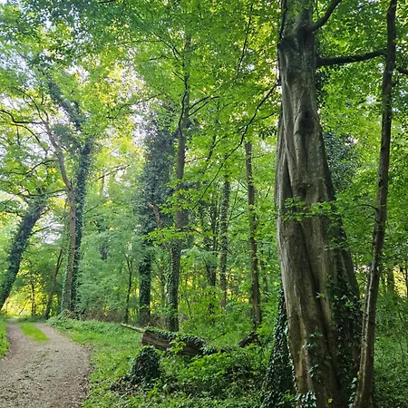Deluxe Oase Der Ruhe - Wohnwagen Im Kornfeld * Razkrizje