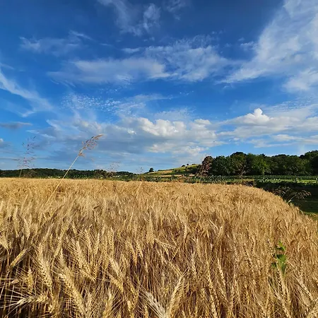Deluxe Oase Der Ruhe - Wohnwagen Im Kornfeld אתר קמפינג